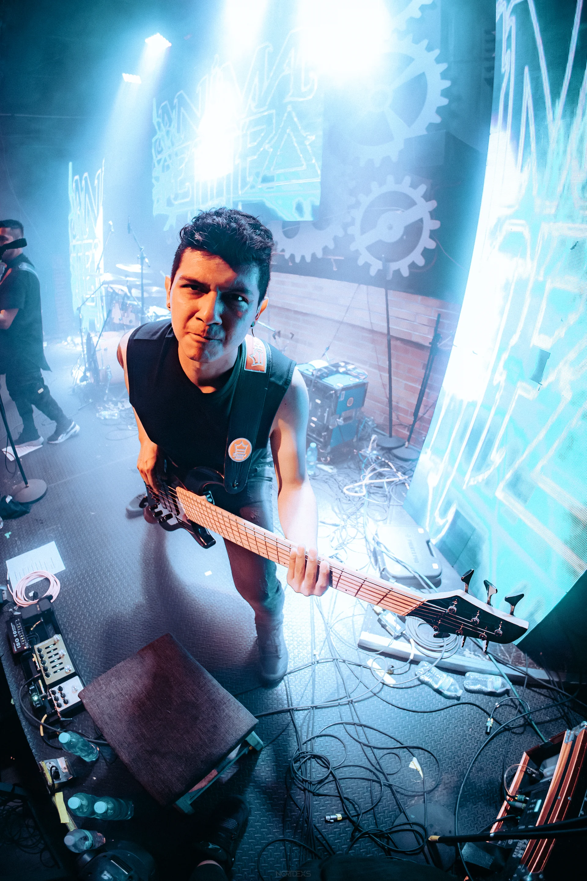 Anima Tempo Performance